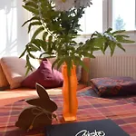Apartment Haus Albatros Albatros Wo 4 Prerow